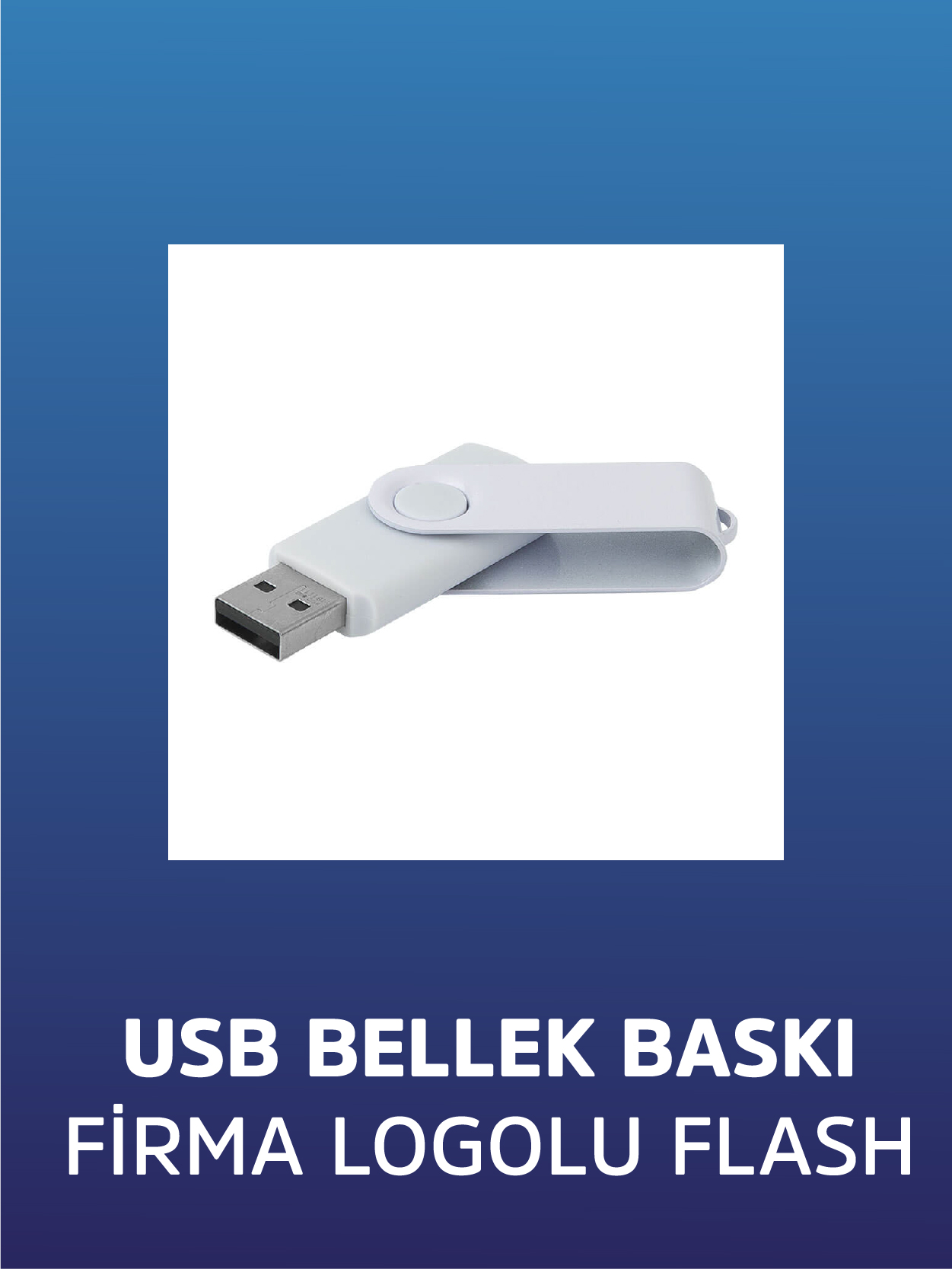 Logolu USB Bellek
